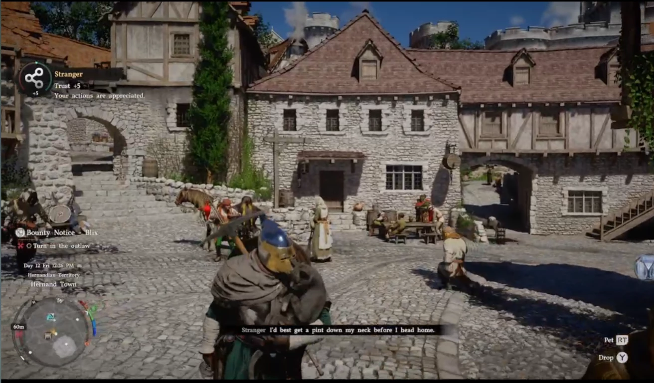 Pick Up and Pet the Cat